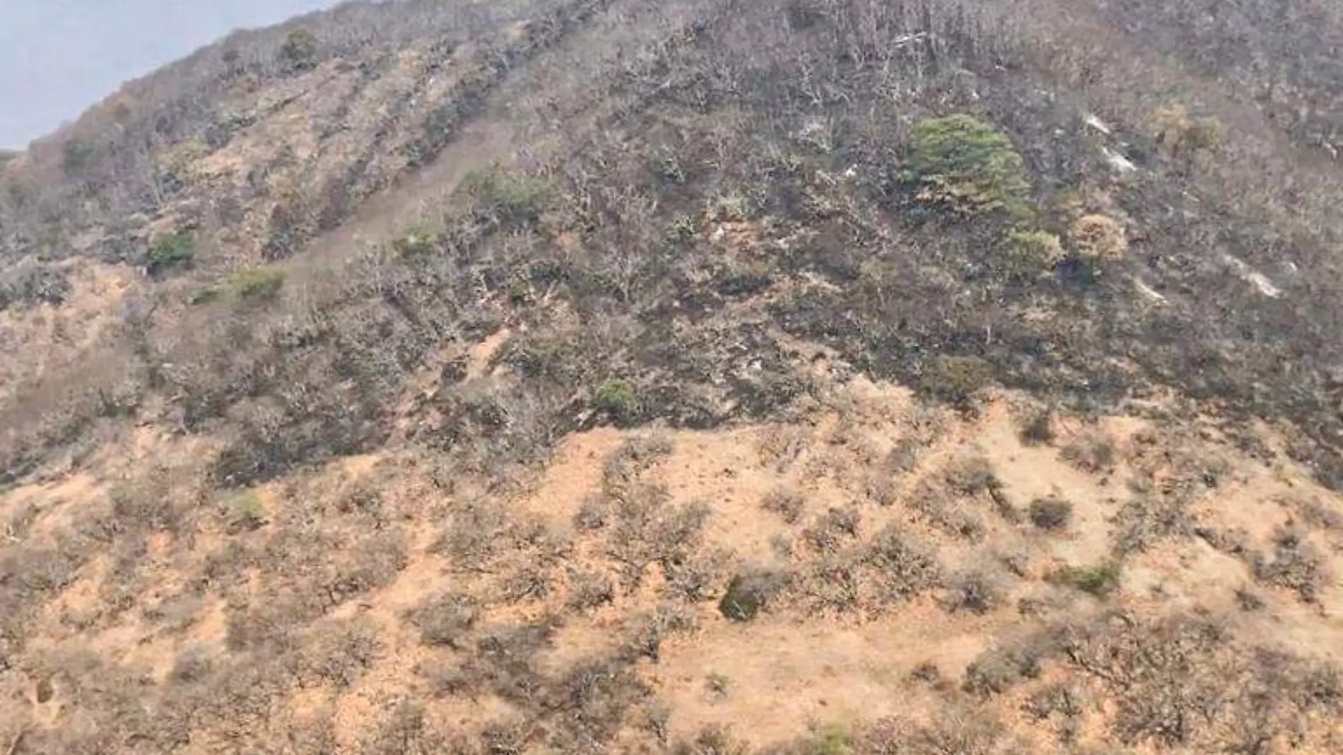 incendios guerrero